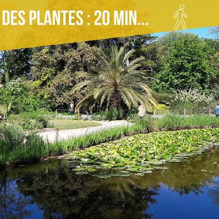 Amja Proche Clinique Saint-Roch Apt 3 Chambres 3 Salles De Bain Parking Gratuit Ideal Famille Groupe Coworking 10 Min Centre Ville 10 Min Plage 5 Min Sortie Autoroute مونبيلييه المظهر الخارجي الصورة