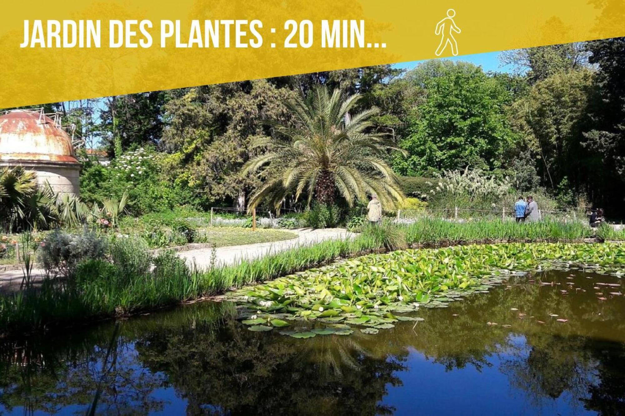 Amja Proche Clinique Saint-Roch Apt 3 Chambres 3 Salles De Bain Parking Gratuit Ideal Famille Groupe Coworking 10 Min Centre Ville 10 Min Plage 5 Min Sortie Autoroute مونبيلييه المظهر الخارجي الصورة