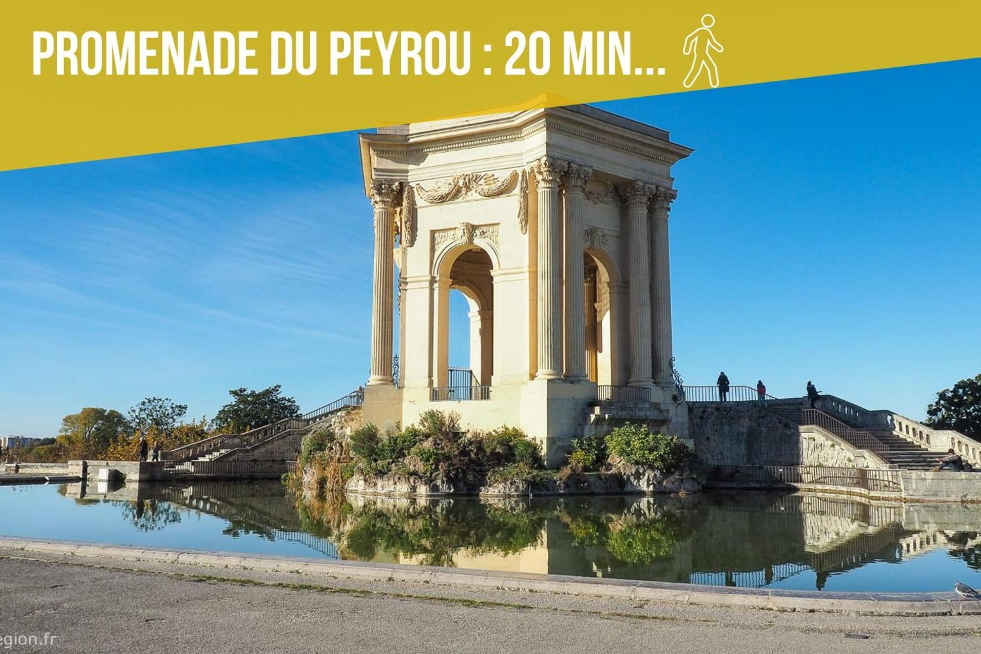 Amja Proche Clinique Saint-Roch Apt 3 Chambres 3 Salles De Bain Parking Gratuit Ideal Famille Groupe Coworking 10 Min Centre Ville 10 Min Plage 5 Min Sortie Autoroute مونبيلييه المظهر الخارجي الصورة