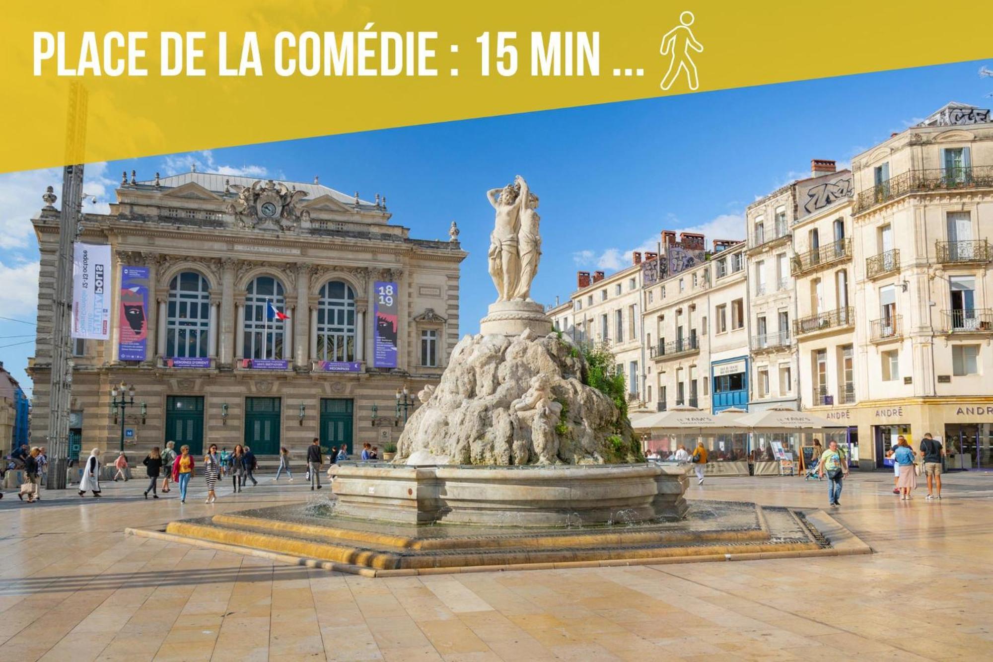 Amja Proche Clinique Saint-Roch Apt 3 Chambres 3 Salles De Bain Parking Gratuit Ideal Famille Groupe Coworking 10 Min Centre Ville 10 Min Plage 5 Min Sortie Autoroute مونبيلييه المظهر الخارجي الصورة